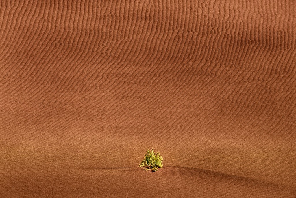  Namib Desert, Namibia.