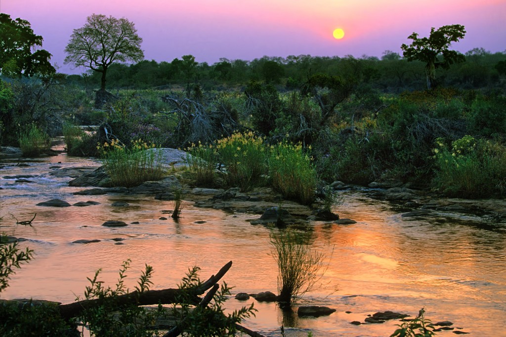  Okavango, Botswana.