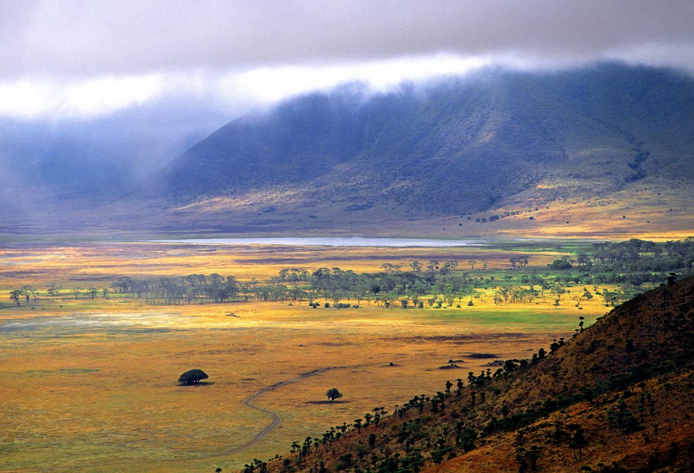 Ngorongoro Crater, Tanzania.