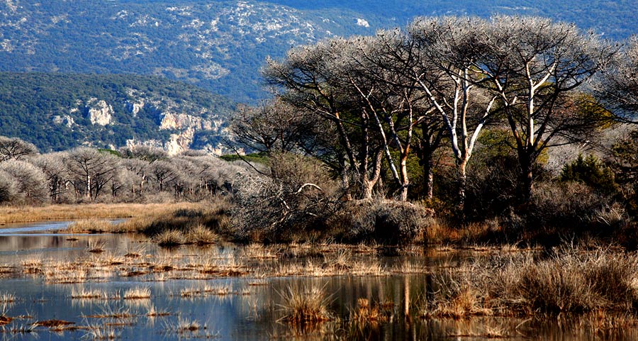 Parco Regionale della Maremma. Toscana.