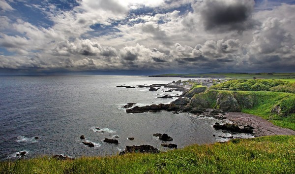 St Abb's Head, Scozia.