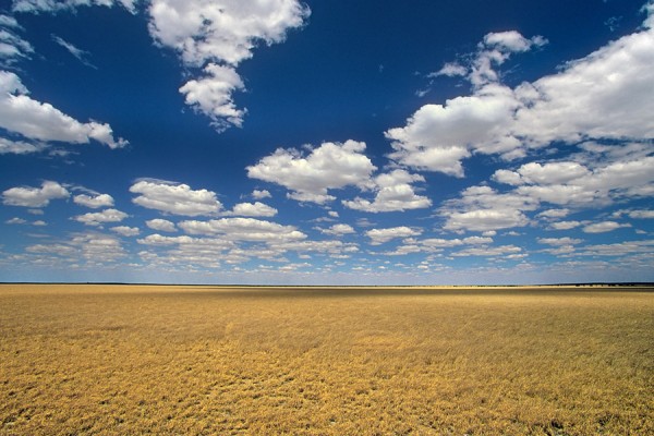 Kalahari, Botswana.