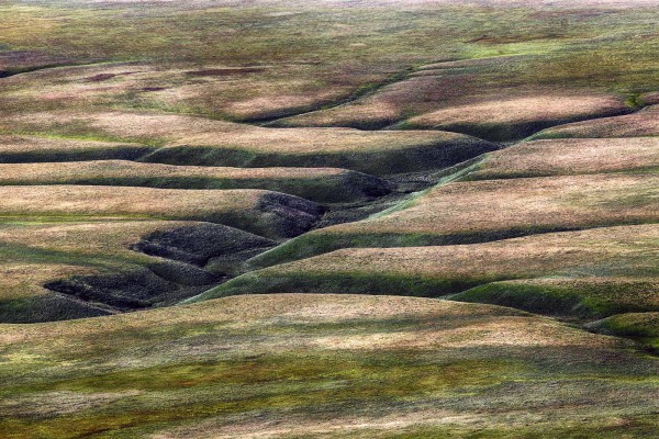 Pian Grande di Castelluccio, Umbria.