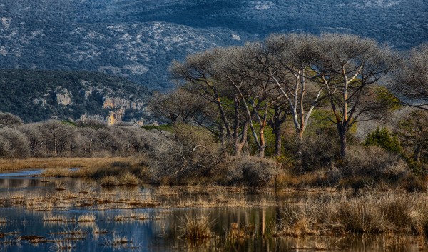 Parco Regionale della Maremma. Toscana.