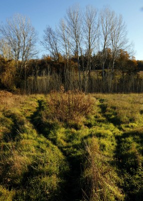 Colline del Chianti.